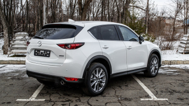 Купить Mazda CX-5, 2.5, 2019 года с пробегом, цена 900000 руб., id 20876