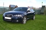 Audi A3 (8P), 2.0, 2007 года с пробегом, id 339