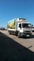 Renault, 5.0, 2011 года с пробегом, id 8494