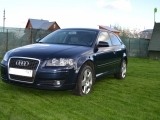 Audi A3 (8P), 2.0, 2007 года с пробегом, id 339
