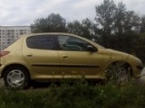 Купить Peugeot 206, 1.4, 2006 года с пробегом, цена 250000 руб., id 4646