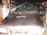 Kia Sportage (K00), 2.0, 1999 года с пробегом, id 738