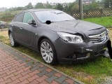 Купить Opel Insignia, 2.0, 2008 года с пробегом, цена 4844 руб., id 10214