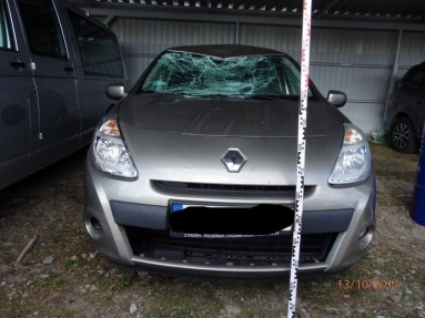 Купить Renault Clio, 1.1, 2010 года с пробегом, цена 3183 руб., id 10770