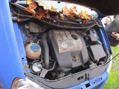 Купить Volkswagen Polo, 1.4, 2005 года с пробегом, цена 24291 руб., id 10938