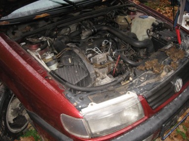 Купить Volkswagen Passat, 1.9, 1995 года с пробегом, цена 0 руб., id 11235