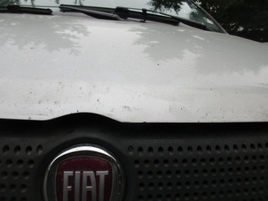 Купить Fiat Panda, 1.1, 2008 года с пробегом, цена 21038 руб., id 11537