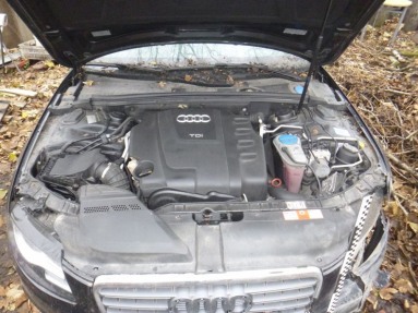 Купить Audi A4, 2.0, 2008 года с пробегом, цена 1592 руб., id 11709