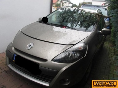 Купить Renault Clio, 1.5, 2009 года с пробегом, цена 68028 руб., id 12113