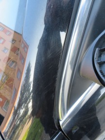 Купить Opel Insignia, 2.0, 2012 года с пробегом, цена 183114 руб., id 12187