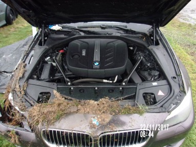 Купить BMW 5 520 Diesel DPF, 2.0, 2011 года с пробегом, цена 6436 руб., id 12565