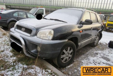 Купить Hyundai Santa Fe, 2.0, 2004 года с пробегом, цена 1592 руб., id 13776