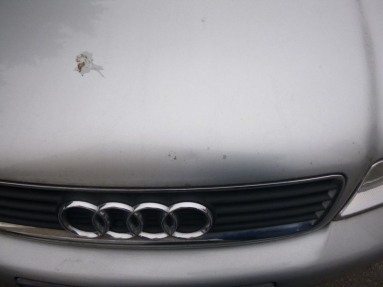 Купить Audi A4, 1.9, 2000 года с пробегом, цена 38893 руб., id 14042