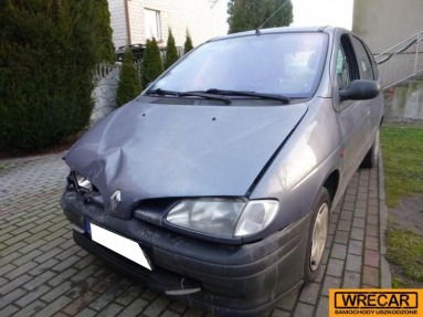 Купить Renault Megane, 1.9, 1998 года с пробегом, цена 4844 руб., id 14719