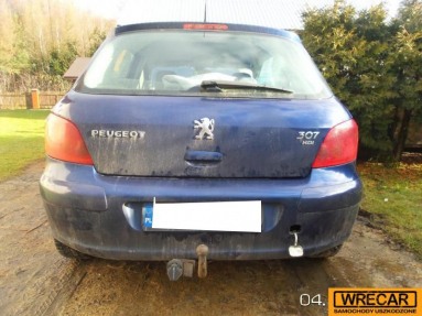 Купить Peugeot 307, 2.0, 2002 года с пробегом, цена 1592 руб., id 15452