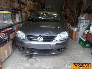 Купить Volkswagen Golf, 1.9, 2004 года с пробегом, цена 51834 руб., id 17128