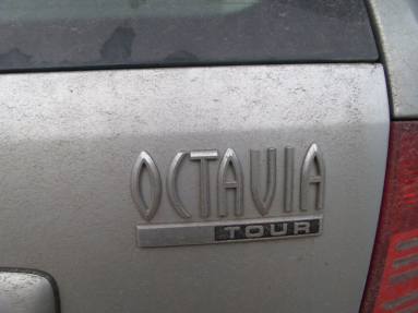 Купить Skoda Octavia, 1.9, 2009 года с пробегом, цена 68028 руб., id 17137