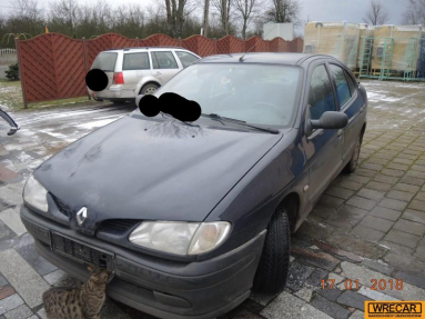 Купить Renault Megane, 1.6, 1997 года с пробегом, цена 1592 руб., id 17546
