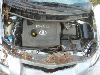 Купить Toyota Auris, 1.4, 2009 года с пробегом, цена 37232 руб., id 18623