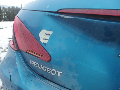 Купить Peugeot 307, 2.0, 2008 года с пробегом, цена 4844 руб., id 18850
