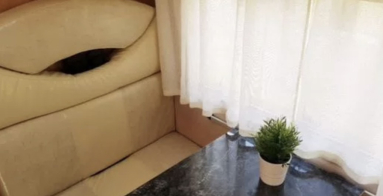 Купить Fiat Ducato / Фургон, 2.0, 2008 года с пробегом, цена 4850000 руб., id 21028