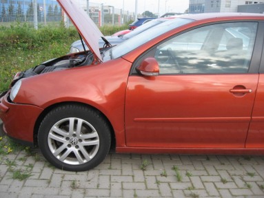 Купить Volkswagen Golf, 1.9, 2006 года с пробегом, цена 1592 руб., id 9358