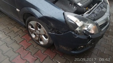 Купить Opel Signum, 1.9, 2006 года с пробегом, цена 25882 руб., id 9924