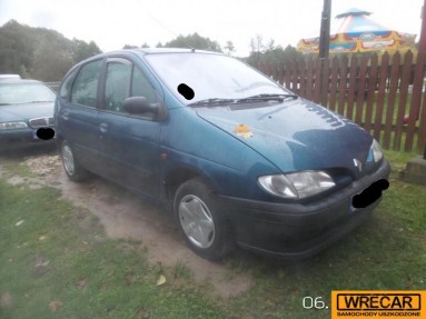 Купить Renault Megane, 1.6, 1998 года с пробегом, цена 12941 руб., id 10348